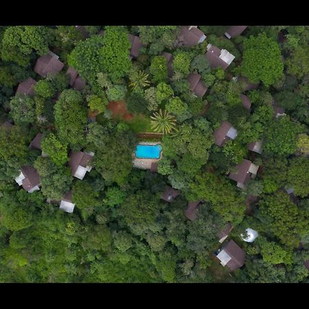 Letstay Adithya Nature Resort & Spa Vythiri Exterior foto